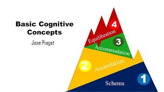 Basic Cognitive Concepts Schema Assimilation Accommodation Equilibration [upl. by Gasper]