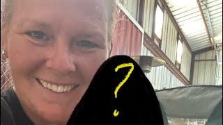 Unexpected Guests Mystery on the Farm Vlog 97 [upl. by Ahseinad]