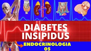 DIABETES INSIPIDUS CAUSA FISIOPATOLOGIA DIAGNÓSTICO E TRATAMENTO  ENDOCRINOLOGIA [upl. by Scevor]