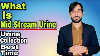 What is the best time to collect urine sample What is Mid Stream Urine [upl. by Ergener]