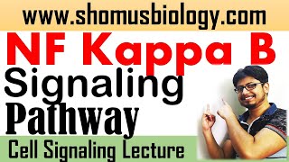 NF kappa B signaling pathway  Short tricks to learn cell signaling pathway [upl. by Georges]