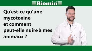 Qu’estce qu’une mycotoxine et comment peutelle nuire à mes animaux [upl. by Aihsel]