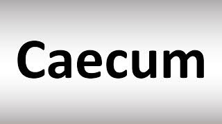 How to Pronounce Caecum [upl. by Einahpetse764]