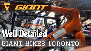 GIANT Brand New Bikes  Toronto Branch  So Many Bikes [upl. by Cindie]