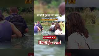 The anaconda 🐍 under water 😱😱 movieexplainedinhindi shorts anaconda [upl. by Jamel]