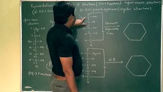 Pyranose Cyclic Structure Of Fructose with Haworth Representation [upl. by Mcevoy807]