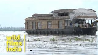 Alleppey houseboat on Vembanad Lake Kerala [upl. by Ennasor]