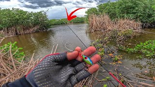 ⚠️ Entramos no meio do Mangue até a beira da Praia  Pescaria de ROBALO com Micro jig  ULTRA LIGHT [upl. by Llerihs96]