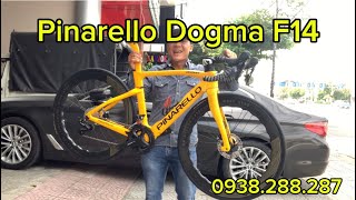 Pinarello Dogma F14 Full Shimano 7020 vành carbon Princenton 6560 [upl. by Thanos599]