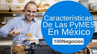 Características De Las PyMES En México [upl. by Brandi]