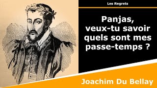 Panjas veuxtu savoir quels sont mes passetemps   Sonnet  Joachim Du Bellay [upl. by Minnnie]