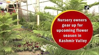 Nursery owners gear up for upcoming flower season in Kashmir Valley [upl. by Patterman]