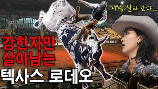 SUB TEXAS RODEO I 강한자만 살아남는 텍사스 로데오 I 미국 생활 미국 일상 미국 브이로그 [upl. by Nired425]