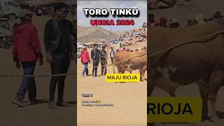 Maju Roja con su TORO  presente en TORO TINKU  Uncia 2024 [upl. by Christmann]