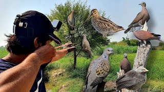 Unseen Birds Hunting Ever with Slingshot Perfect Head Kills with Slingshot [upl. by Ordep]