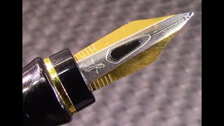 Waterman Expert 1 Fountain Pen Review [upl. by Benton]