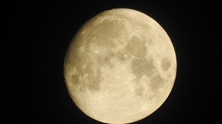 Nikon Coolpix p950  Zoom Test on Moon  P950 Zoom test [upl. by Zebapda413]