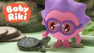 BabyRiki RO  Țestoasa lui Ariciu 🐢 Învățăm animalele de companie  Desene animate [upl. by Garett]