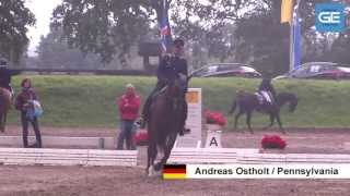 CIC SCHENEFELD 2013  DRESSUR [upl. by Geoff]