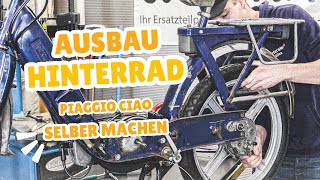 Piaggio Hinterrad amp Getriebe ausbauen l Mit dem richtigen Werkzeug kein Problem❗️ [upl. by Gannes]