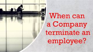 Can a Company terminate an employee  Termination of employees [upl. by Brechtel]