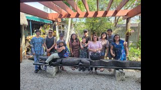 Florida everglades Airboat and Alligator Farm [upl. by Amlas]