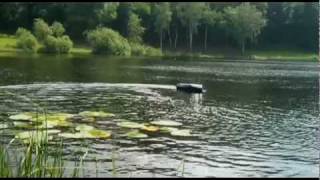 Waverunner Atom´s Maneuverability And Through Water Lilies [upl. by Nonnelg]