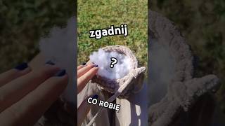 Mamy tutaj fanów kotków Mam nadzieję że spodoba Wam się mój kot cutecat crochetplushie shorts [upl. by Theodore]