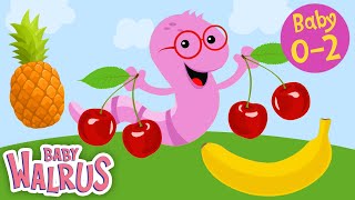 My First Words about Fruits  Smart Baby  Learning First Words  Baby Walrus [upl. by Shelton]