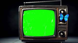 OLD TV GREEN SCREEN [upl. by Rentsch]