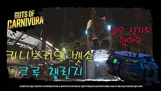 보더랜드 3 챌린지붉은상자  카니보라의 뱃속 Borderlands 3 Crew Challenges  GUTS OF CARNIVORA [upl. by Darleen]