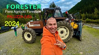 FORESTER FIERA AGRICOLO FORESTALE E GARA BOSCAIOLI a PALUZZA UD [upl. by Froh130]