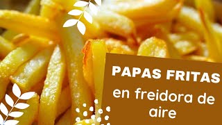 Papas fritas en freidora de aire Oster La de 10litros😮 [upl. by Lindbom]