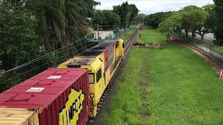 900 Subscriber Special Pinkenba freight trains 2024 [upl. by Gudren]