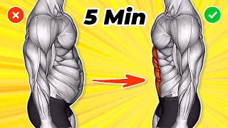 TOP 5 Exercises For a Flat Stomach Get a Flat Stomach at Home without Equipment [upl. by Abih]