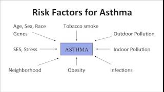 Risk Factors for Asthma  John R Balmes MD [upl. by Newkirk72]