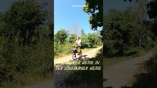 Fischbeker Heide 🚲 shorts fahrrad bicycle tour brompton gravel [upl. by Espy413]