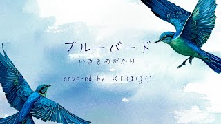 いきものがかり  「ブルーバード」 Covered by krage [upl. by Jared]