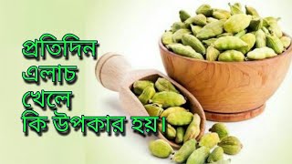 Pratidin elach khele ki upokar hoy Elaich Benefits in Bangla [upl. by Airreis306]