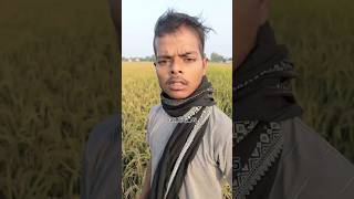 Kare maugadwa 😂😂ak Ajay ka comedy videofunny comedy videos [upl. by Lleznov]