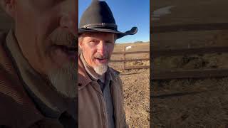 Wyoming weather changes quick shortsvideo wyoming [upl. by Minor573]