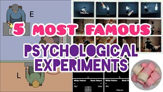 Most Famous Psychological Experiments  Stanford Prison Milgram Marshmallow Stroop Effect  Hindi [upl. by Cathee934]