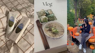 vlog🎃  가을 나들이 칸디데 미백치약 후기 데님맛집 어나브릭 스커트로 4가지 코디 feat 겨울 옷정리  대학생 브이로그 [upl. by Tilla]