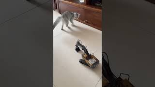 cat playing with toy excavator [upl. by Carola]