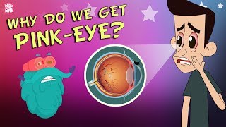 What Causes Conjunctivitis  CONJUNCTIVITIS  PinkEye  The Dr Binocs Show  Peekaboo Kidz [upl. by Wivinah371]