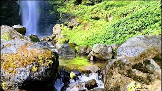 Lullabies Waterfalls Beautiful Views And Bird Songs For Relaxation [upl. by Lehacim3]