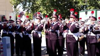 TBDBITL  Hang On Sloopy [upl. by Haropizt]