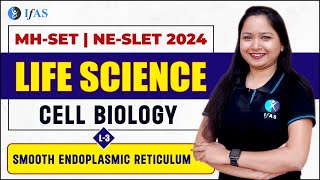 SMOOTH ENDOPLASMIC RETICULUM  CELL BIOLOGY  MHSETNESLET 2024 [upl. by Yrelle]