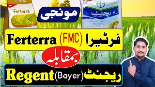 Ferterra Vs Regent  Bayer Regent VS FMC Ferterra  Apna Kisan Pakistan [upl. by Frasco]