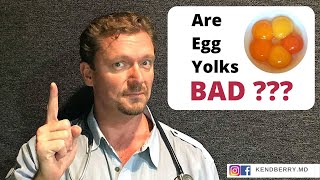 Are Egg Yolks Bad For You [upl. by Hamachi659]